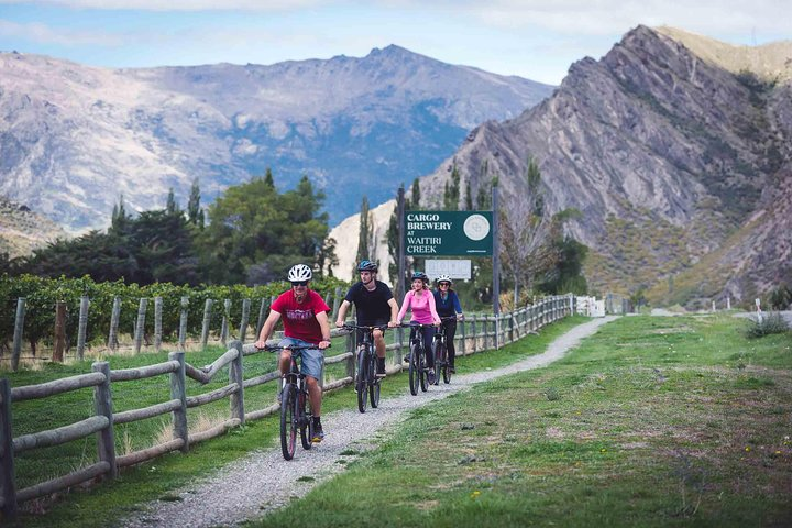 Bike the Gibbston wineries with Around The Basin
